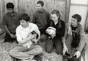 20-minute-loop chickens